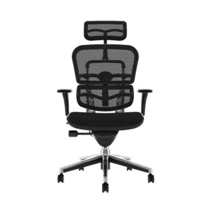 Scaun Ergohuman Ultra 30.12.92, spătar reglabil, tetieră reglabilă 2D, suport lombar